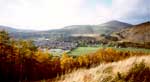 local views