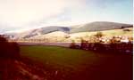 local views