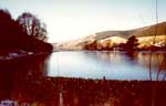 local views